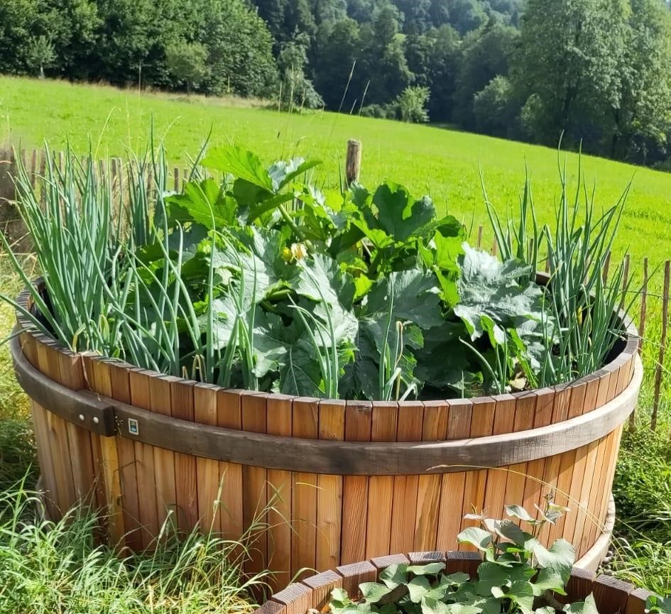 Rundhochbeet Lärche Ø 130 cm, Höhe 50 cm